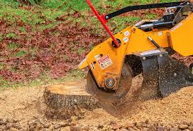 Best Stump Grinding and Removal  in Wildwood, NJ