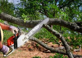 Best Aeration Services  in Wildwood, NJ